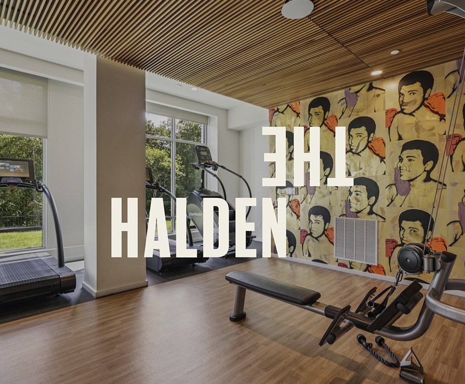 THE HALDEN
